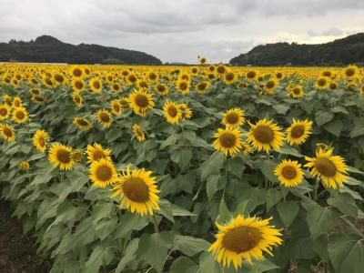 帰省～芳賀郡巡り