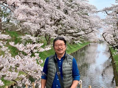 レンタカーで東北桜巡り　2  弘前　　