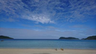 八重山諸島・西表島で 秘境の浜に 出会ったぁ　～ 沖縄・ 記憶をタドルン滞在記2018 ～