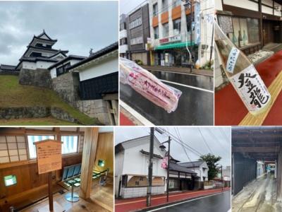 福島・鈍行に揺られて県南巡り①～白河のお城とお酒と昔懐かしアイスキャンデー～