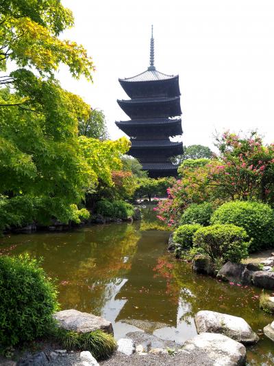 久しぶりのお参りは東寺