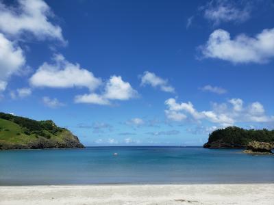 小笠原諸島（父島・母島）