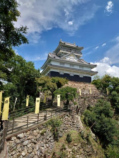 岐阜市 お城めぐり に関する旅行記 ブログ フォートラベル 岐阜県