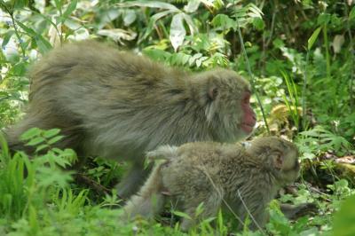 長野旅行記～2022 松本市編～その4