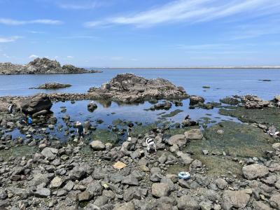 タビノキロク。気ままひとり旅。岩手 2022