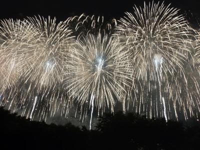 ☆長岡　花火大会☆　夏の夜空に輝く　大輪の花　２０２２年２回目