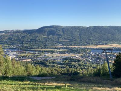 7・9歳児連れ、夏の長期ノルウェー帰省⑤実家でのんびりリモートワーク編