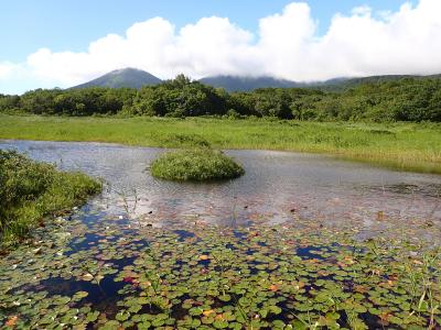 22年夏　東北ツーリング３日目　八甲田周遊