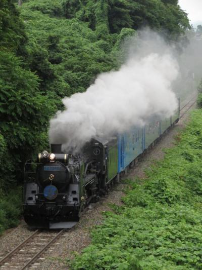 2022気になる列車を見に行こう！キハにゆられて北海道！vol.5（Ｃ５８形「ＳＬ銀河」編）