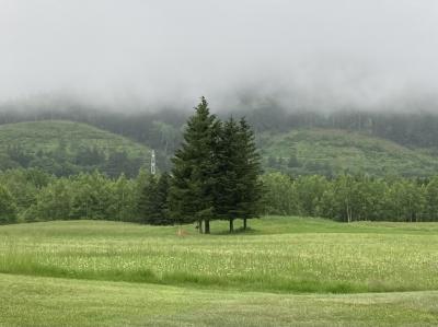 7月初めの "占冠"、エゾシカには出会えたけど120ｋｍ走って行ってみた "星野リゾートトマムの雲海テラス" は、霧で真っ白だった･･･
