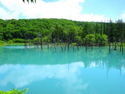 道央・北の路線を巡る旅、その５　青と紫のはざまで