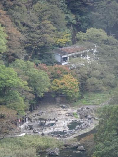 2023年10月岡山(2)湯原温泉(オオサンショウウオ 湯原湖 砂湯 薬師堂 千屋牛) 勝山(出雲街 備中鍾乳穴 北房コスモス園