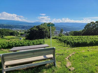 VISAの雑誌掲載の「東御市のワイナリー代表の家にフランス式民泊体験」してみた