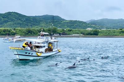 九州西南部周遊 Vol 3. < 天草でイルカウォッチング・おっぱい岩・富岡城跡・下田温泉 >