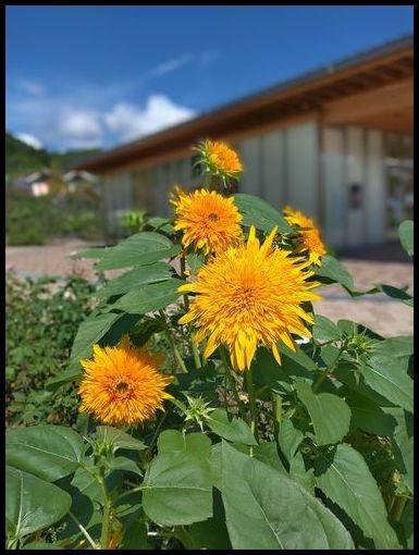 硫黄漂う戸倉上山田温泉からぬる湯の下部温泉へ。（２）