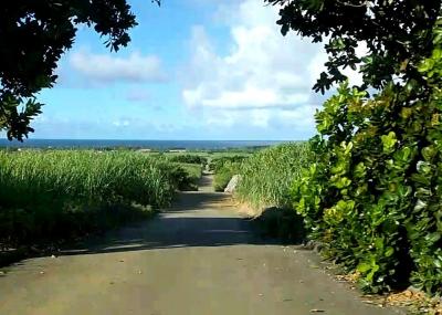 宮古島4日間　4日目「たんでぃがぁーたんでぃ 美ぎ島」