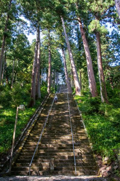 富士四湖？赤沢宿・身延山へサイクリング