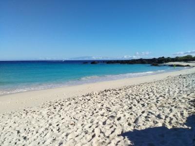 ハワイ島に関する旅行記 ブログ フォートラベル ハワイ Hawaii Island