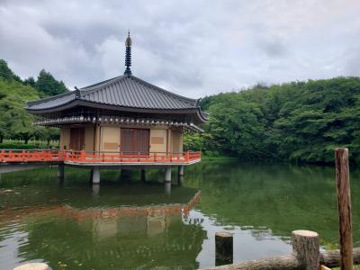 母・弟と行く夏の安倍文珠院～叔父とお別れするために(:_;)