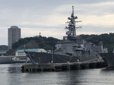 横須賀軍港クルーズ！ダイソーは神だった？ウェットテッシュも神だった横須賀