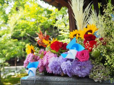 夏の京都で寺社めぐり Vol.2  清水寺千日詣り・八坂庚申堂・建仁寺・八坂神社と 勝林寺の花手水