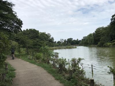 2022年8月20日　東京早朝サイクリング　護国寺、善福寺川