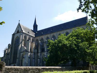 2022年8月　9ユーロチケットで行く旅3　静かなアルテンベルクの大聖堂と昭和なメルヘンの森　Odenthal