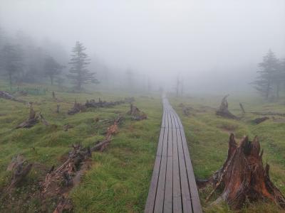 南アルプスの深くへ…【聖岳撤退】