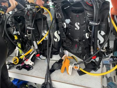 2022 夏満喫!ダイビング!串本&古座@和歌山