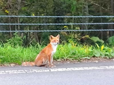 ヒンナヒンナ！道東グルメと観光満喫の旅【根室編】