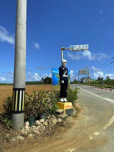 宮古島2022 八重干瀬でイルカ