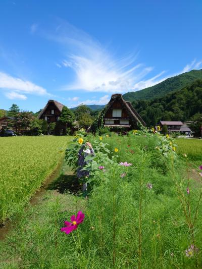 いにしえ＆アニメの日本を辿る旅。初★高山、白川郷、土岐への家族旅。