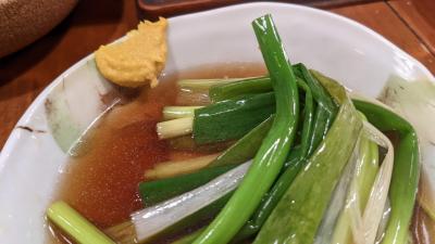 22年 青春18きっぷ 04 新潟の夜も熱かった!