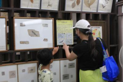 木の葉化石園＿栃木県那須塩原市中塩原472