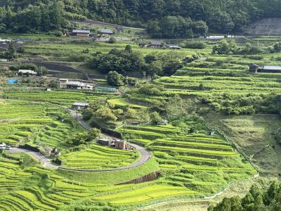 熊野・南紀の旅行（紀伊半島横断編）