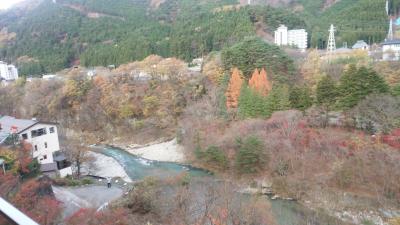 鬼怒川子連れ旅行（9歳＆6歳＆3歳）