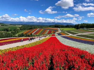 子連れ避暑！北海道ドライブ旅