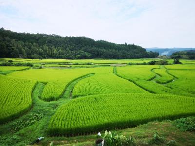 国東半島で一杯イヤいっぱい