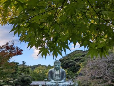 神奈川＆東京旅行⑦／⑧鎌倉