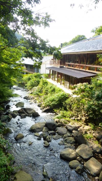 西九州新幹線開業！間近 嬉野温泉１泊旅【高級旅館「大正屋 椎葉山荘」館内と「山の湯」見学編】