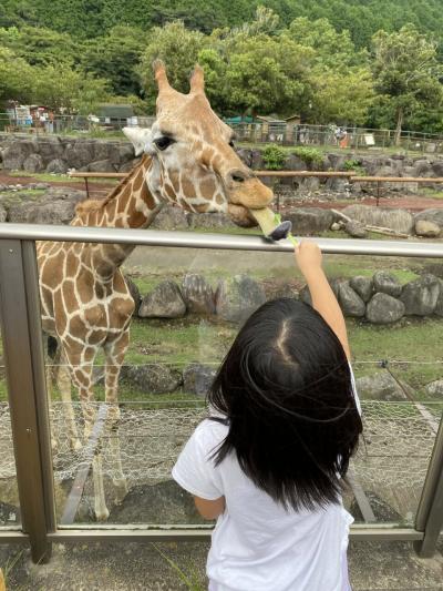 夏旅　孫を連れて伊豆アニマルキングダム1泊2日