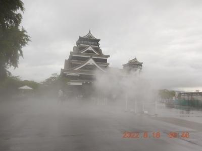 2022年夏休み　熊本/宮崎/鹿児島　南九州周遊３泊４日旅(２日目:熊本城/崎津集落/城山展望台など)