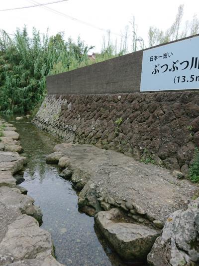 県民割使い倒し）ケチでわがままで貧乏な私、和歌山県へ(女バイク一人旅