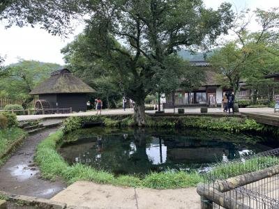 夫婦の夏休み！忍野八海、鳴沢氷穴、富岳風穴、溶岩樹型を見て回る！ドーミーインの麺抜きラーメンいいね！（前半）