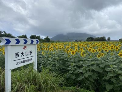 2022年夏休み　熊本/宮崎/鹿児島　南九州周遊３泊４日旅(３日目:知覧特攻平和会館/西大山駅/龍宮神社など)