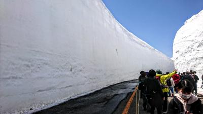 黒部アルペンルートと五箇山の旅：04 高さ16メートル！室堂の雪の壁