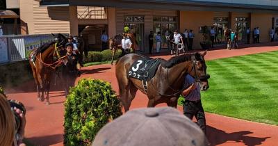 夏競馬新潟競馬場アイビスサマーダッシュ編