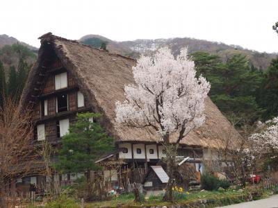 能登半島巡り～白川郷～飛騨高山　両親の米寿旅行の旅  2日目