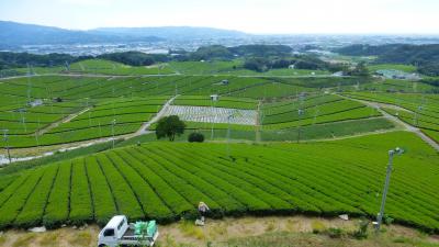 天文台（星の文化館）に泊まる 八女市星野村１泊２日旅【八女中央大茶園展望所からの眺望編】