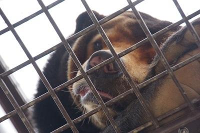 マーヤに会いに徳山動物園へ